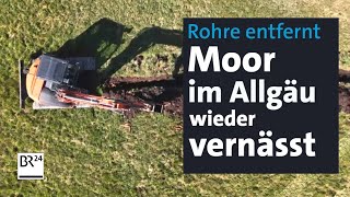 Natur und Klimaschutz Allgäuer Moore werden wieder vernässt  Abendschau  BR24 [upl. by Moffitt50]