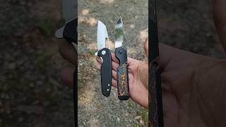 Thumbhole Thursday Kizer Carry shorts youtubeshorts knives [upl. by Metabel]