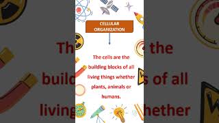 Characteristics of living organisms  Class 11  ytshorts shorts [upl. by Pember]