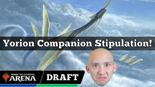 Yorion Companion Stipulation  Arena Cube Draft  MTG Arena [upl. by Cilegna205]