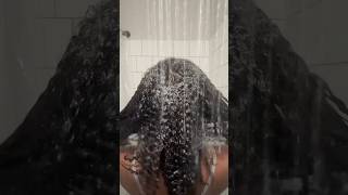 Reverting My Silk Press silkpress naturalhair type4naturalhair blackgirlinfluencer type4hair [upl. by Artenehs]