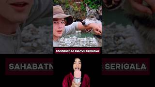 Sahabat Sejatinya Yaitu Seekor Serigala [upl. by Fina400]