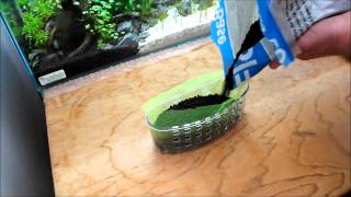 DIY Emersed Aquarium Planter [upl. by Sergu]