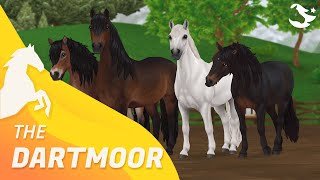 The Dartmoor Pony ✨  Star Stable Horses [upl. by Ymeon]