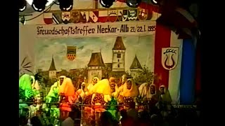 Narrentreffen in Sachsenheim 1995 [upl. by Madonna313]