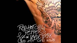 Red Hot Chili Peppers  Live Hyde Park London  20040619  Including songs that arent on the CD [upl. by Ciro950]