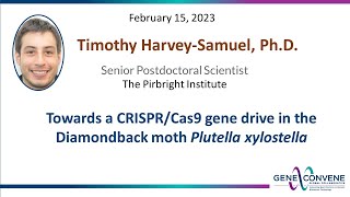 Towards a CRISPRCas9 gene drive in the Diamondback moth Plutella xylostella Feb 15 2023 [upl. by Aicek869]