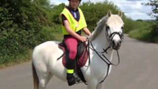 Riding Schools  Normanby Park Riding School [upl. by Mufinella]