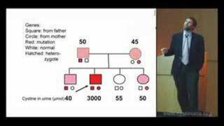 The Genetics and Inheritance of Cystinuria [upl. by Asiar838]