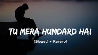 Humdard – Arijit Singh Slowed  Reverb MusicArea [upl. by Slyke]