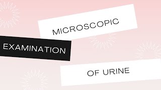 Microscopic Examination of Urine Complete lecture  Pathology  Microbiology [upl. by Nnairak]