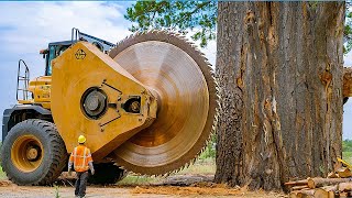 Extreme Dangerous Fastest Big Chainsaw Cutting Tree Machines  Monster Stump Removal Excavator 30 [upl. by Franciska]