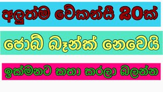 job vacancy 2023 sri lankaJob guide srilanka job interview jobs abroad jobs at home sinhala [upl. by Eillak]