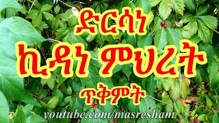 ድርሳነ ኪዳነ ምህረት ጥቅምት  Dirsane Kidanemihret  Tikemit [upl. by Kremer]