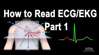 How to Read ECGEKG Part 1 Animation [upl. by Goober]