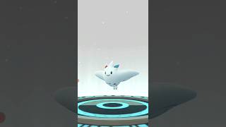 shorts pokemongo gappsinfo Togetic to Togekiss [upl. by Lleirbag]