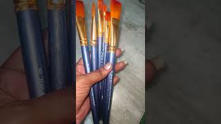 Paint Brushes 🖌️paintbrushes [upl. by Atinram]