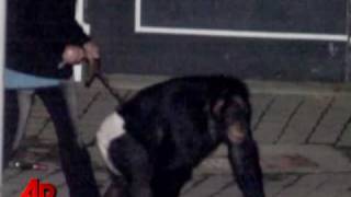 Chimp Attack Victim Cant Get Transplants [upl. by Harv]