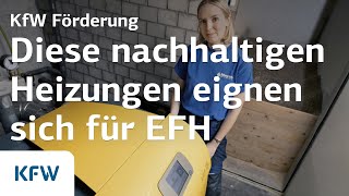 Diese nachhaltigen Heizungen eignen sich für Einfamilienhäuser [upl. by Ollehcram]