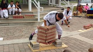 Taekwondo Demo at 2016 Mundelein Community Days Festival [upl. by Luana712]