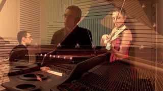 Carol of the bells grand piano and electric violin  DuoCaprices [upl. by Adnolahs]