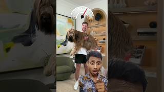 Big dog 🐕 dog challenge doglover goldendoodle mrbeast mrbeastshorts mr mrbeastyt [upl. by Noskcire]