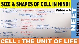 Size and Shapes of Cell in Hindi  Cell  The unit of life  Class 11  Class9  CBSE  NEET 2122 [upl. by Kaden]