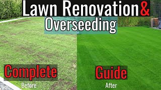 Fall Renovation amp Overseeding Simple Step by Step Guide 2023 [upl. by Latta]