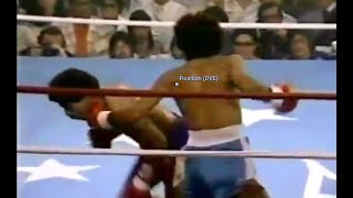 WOW FIGHT OF THE YEAR  Salvador Sanchez vs Wilfredo Gomez Full Highlights [upl. by Slocum717]