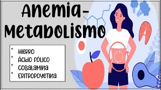 Anemia 🩸 Metabolismo del hierro folato y cobalamina 🍓🍊🧀🥬🫐🍆 [upl. by Monteria]