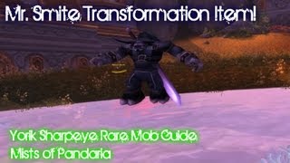 Mr Smite Transformation item Yorik Sharpeye Rare Mob Guide [upl. by Dagley]