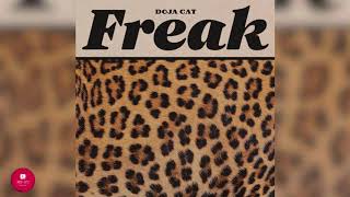 Doja Cat  Freak OFFICIAL CLEAN [upl. by Av]