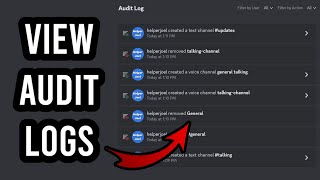 How To Check Audit Logs In Discord [upl. by Naitsirk]