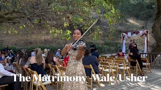 The Matrimony by Wale ft Usher Wedding Violin Cover Electric Violinist  Wedding Music  Bay Area [upl. by Nnylyrehc]