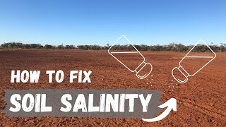 Soil Salinity  What is it and how to fix it  Regenerative Agriculture [upl. by Dolph]