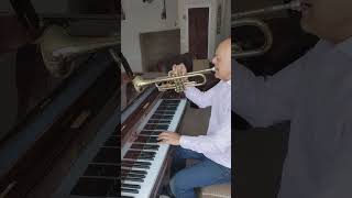 This Guys In Love With You  trumpet AND piano [upl. by Zetroc]