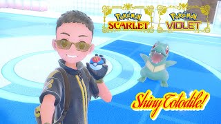 ✨Pokémon Scarlet amp Violet Indigo Disk DLC SHINY LURE BALL TOTODILE✨ [upl. by Odlanor]