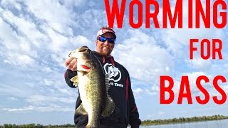 Big Bass on Gambler Ribbontail Worms [upl. by Ennairac955]