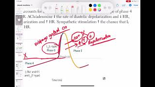 Pacemaker action potential physiology cardiology 43 First Aid USMLE Step 1 in UrduHindi [upl. by Ymrej]