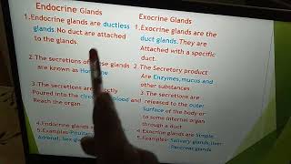 Difference between Endocrine and Exocrine Glands [upl. by Notsirb]