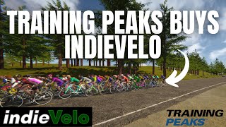 TrainingPeaks BUYS IndieVelo What this Means for Zwift [upl. by Enutrof]