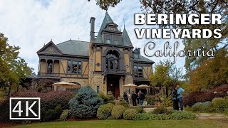 4K Beringer Vineyards  Napa Valley  California  Tour [upl. by Sitoiganap517]