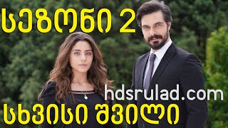 სხვისი შვილი 2 სეზონი ქართულად  sxvisi shvili 2 sezoni qartulad [upl. by Hafinah428]