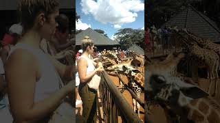 travel💖travelvlog life short shorts shortsfeed shortvideo shortsvideoshortfeedshortsviral [upl. by Rhoads147]