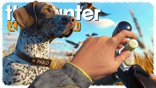 Hunting NEW BIRDS with my NEW DOG on the NEW MAP ʰᵉˢ ᵏᶦⁿᵈᵃ ᵈᵘᵐᵇ  theHunter Call of the Wild [upl. by Ogires]