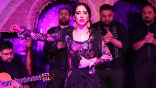 Saray La Pitita en Tablao Flamenco Cordobes 19012019 [upl. by Fang207]