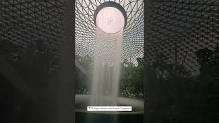 Fly into Future at Singapore Airport travel travelsingapore singapore changiairport viralvideo [upl. by Sairtemed]