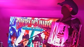 LOS CADETES DE LINARES DE VALENTE TIJERINA Gyesa Same está en vivo [upl. by Tonie]