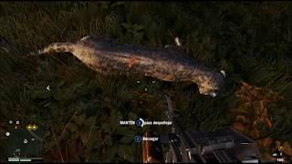 Caza de leopardo de las nieves FARCRY 4 [upl. by Airotna]