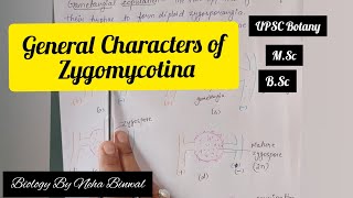 General Characters of Zygomycotina l Biology By Neha Binwal l UPSC Botany l NEET l MSc l BSc [upl. by Ahselaf]